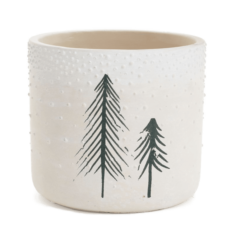 Cement Planter with tree - Image 1