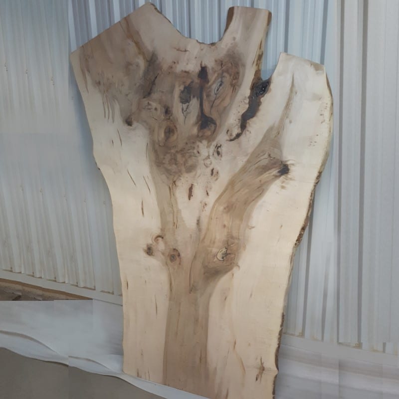 Character Maple