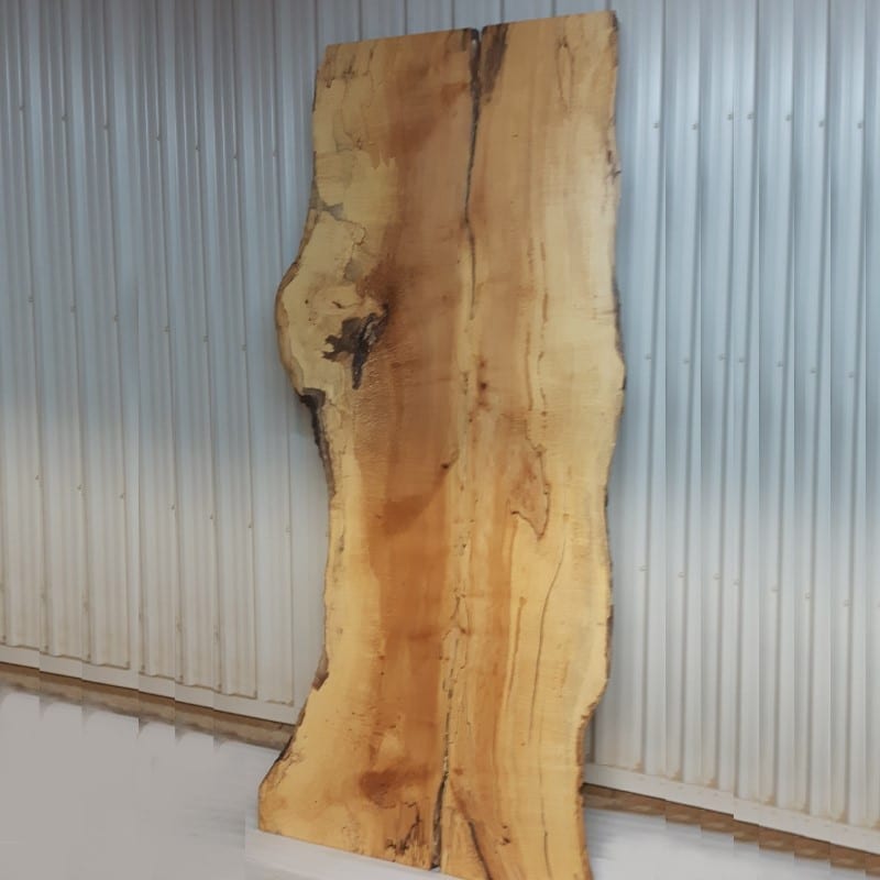 Spalted Maple