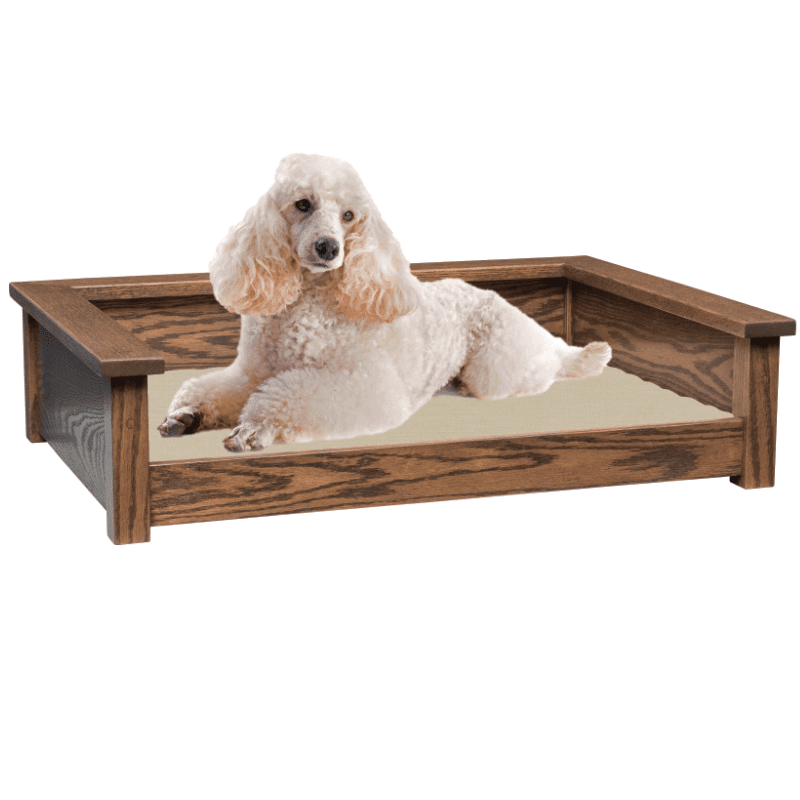 Parkin Pet Lounge